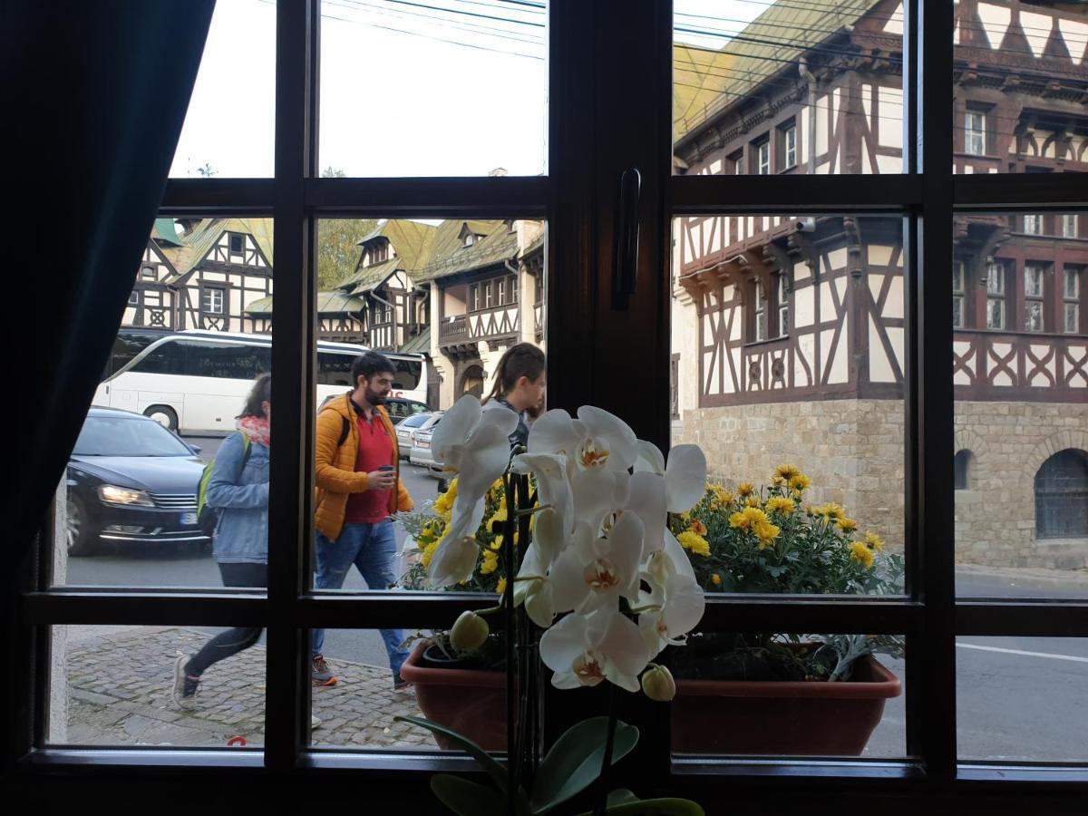 Hotel Boutique Vila Lakastel Sinaia Ngoại thất bức ảnh